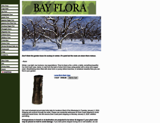 bayflora.com screenshot
