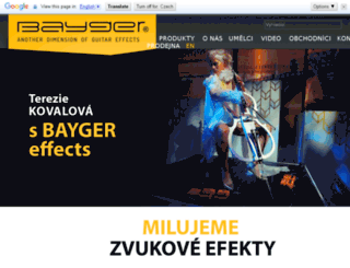 bayger.com screenshot