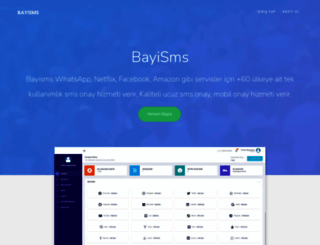 bayisms.com screenshot