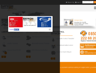 baykon.com screenshot