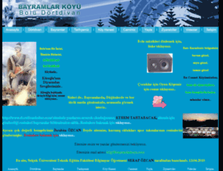 bayramlarkoyu.com screenshot