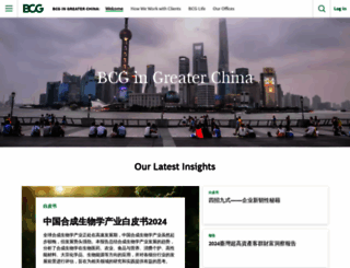 bcg.com.cn screenshot