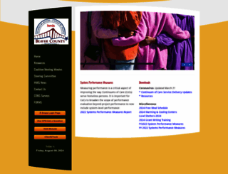 bchmis.info screenshot