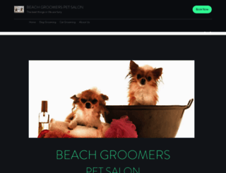 beach-groomers.com screenshot