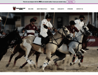 beachpolo.net screenshot