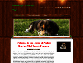beaglespocket.com screenshot