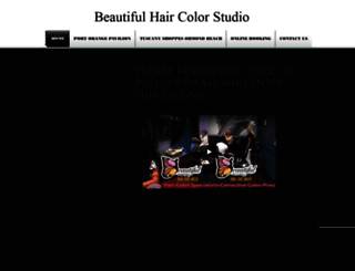 beautifulhaircolorstudios.com screenshot