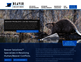 beaversolutions.com screenshot