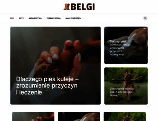 belgi.pl screenshot