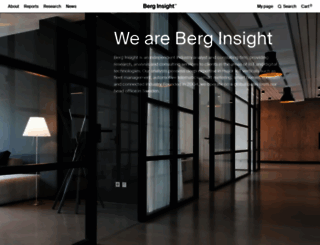 berginsight.com screenshot