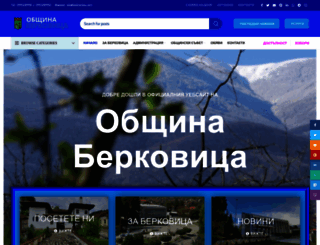 berkovitsa.com screenshot