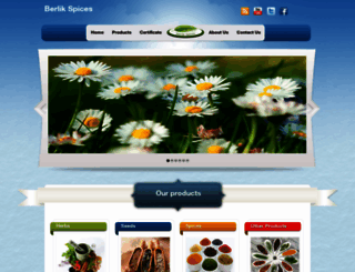 berlikspices.com screenshot