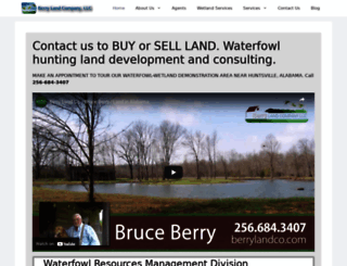 berrylandco.com screenshot