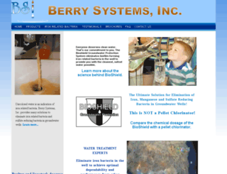 berrysystemsinc.com screenshot