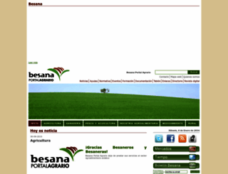 besana.es screenshot