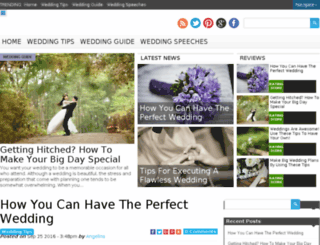 best-wedding-tips.com screenshot