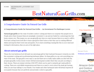 bestnaturalgasgrills.com screenshot