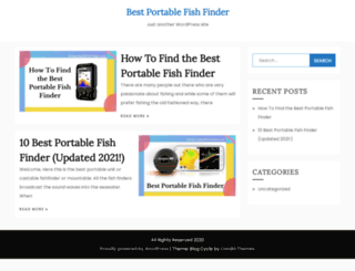 bestportablefishfinder.com screenshot