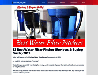 bestwaterfilterpitcher.net screenshot