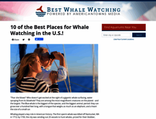 bestwhalewatching.info screenshot