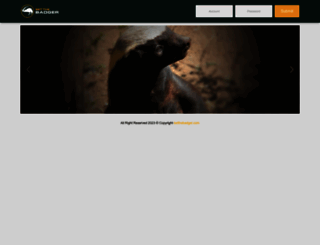 betthebadger.com screenshot