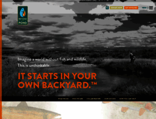 beyondthepondusa.com screenshot