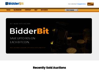 bidderbit.com screenshot