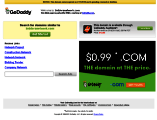 biddersnetwork.com screenshot
