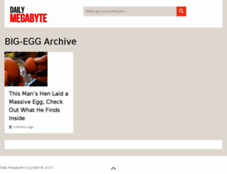 big-egg.dailymegabyte.com screenshot