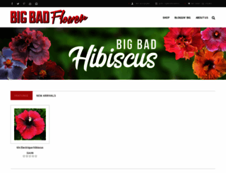 bigbadflower.com screenshot