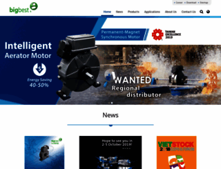 bigbestsol.com screenshot