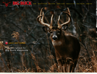 bigbuckmag.com screenshot