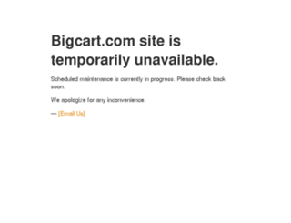 bigcartstore.com screenshot