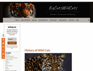 bigcatswildcats.com screenshot