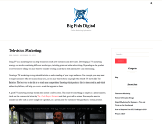 bigfishdigital.net screenshot