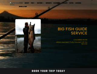 bigfishguideservice.com screenshot
