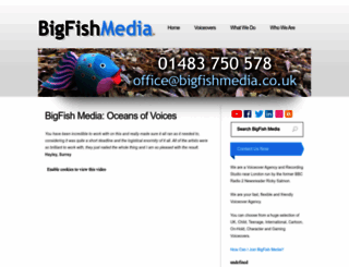 bigfishmedia.co.uk screenshot