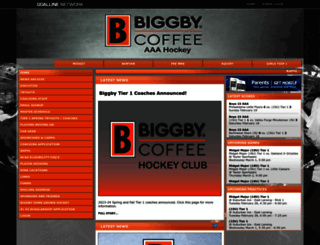 biggbyaaahockey.com screenshot