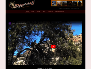 biggerstaffguides.com screenshot