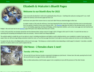 biggonline.co.uk screenshot