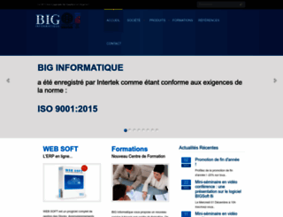 biginformatique.com screenshot
