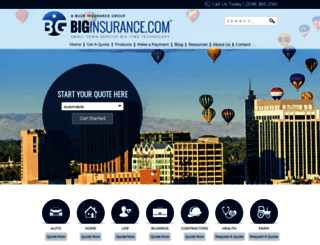biginsurance.com screenshot