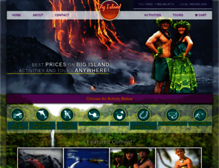 bigislanddiscount.com screenshot