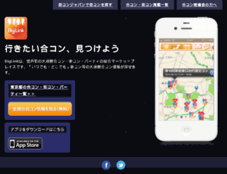 biglink.jp screenshot