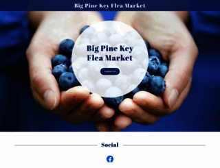 bigpinefleamarket.com screenshot