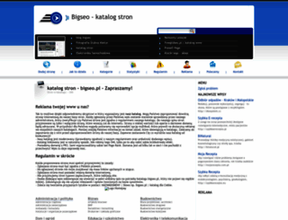 bigseo.pl screenshot