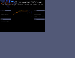 bigskycichlids.com screenshot