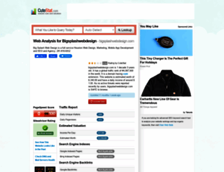bigsplashwebdesign.com.cutestat.com screenshot
