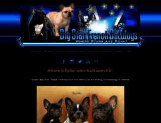 bigstarbulldogs.com screenshot