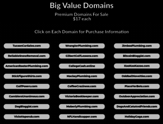 bigvaluedomains.com screenshot